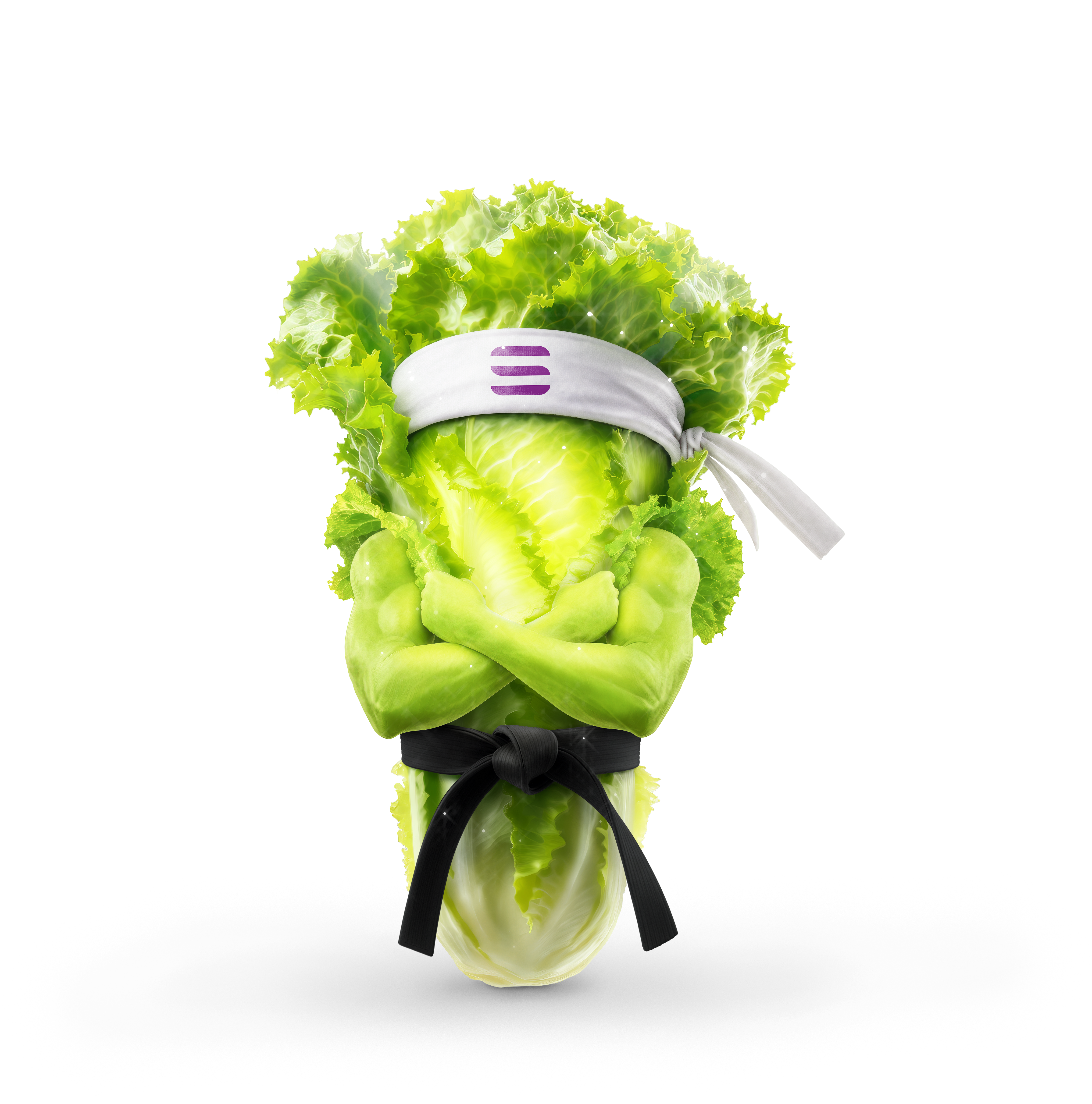 DURALEV lettuce crop visual